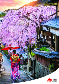 travel brochure to japan